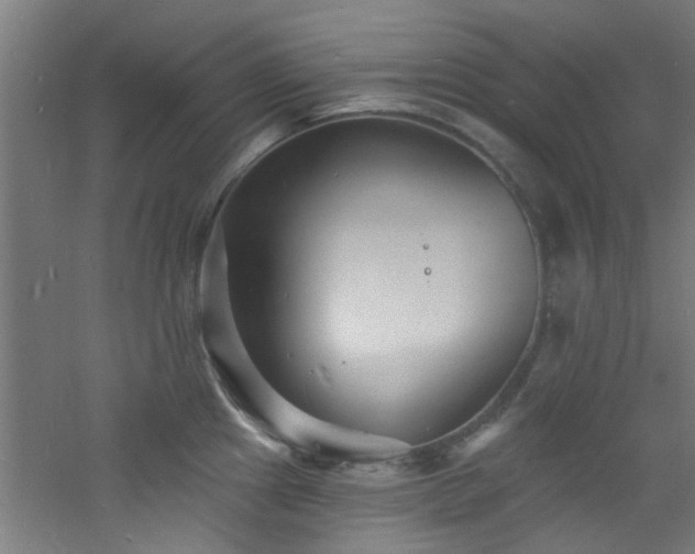 X0000060811241200511101444