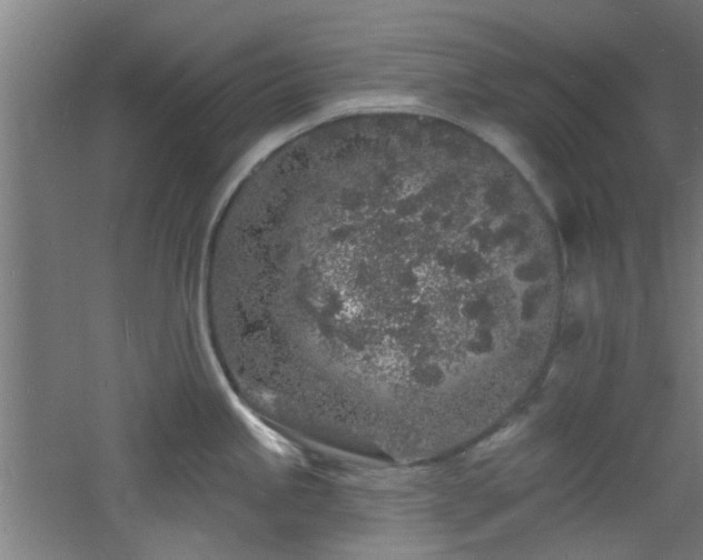 X0000060811245200511101444