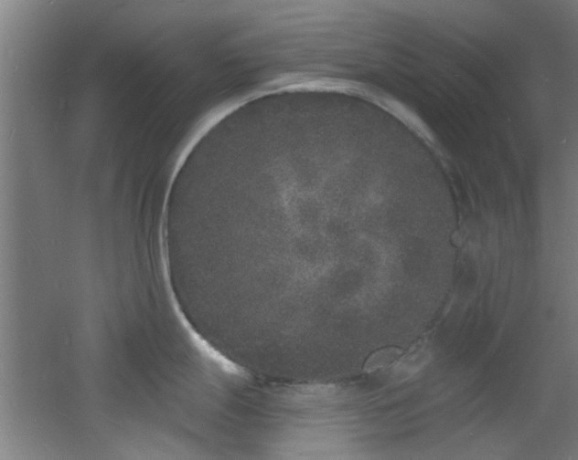 X0000060811247200511101445