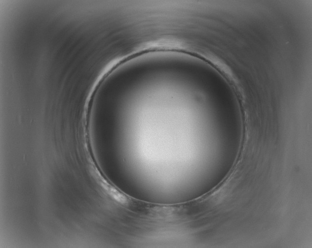 X0000060811248200511101445