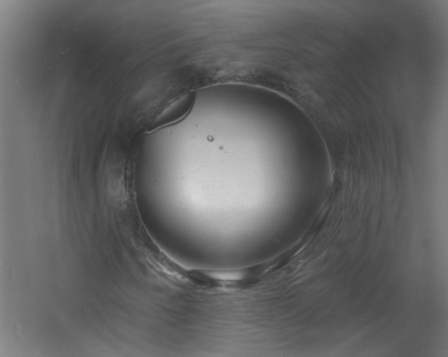 X0000060811250200511101444