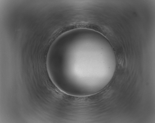 X0000060811252200511101444