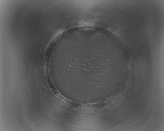 X0000060811254200511101444