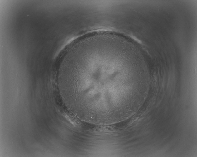 X0000060811255200511101444