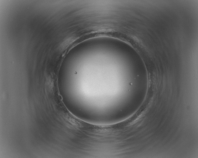 X0000060811257200511101444