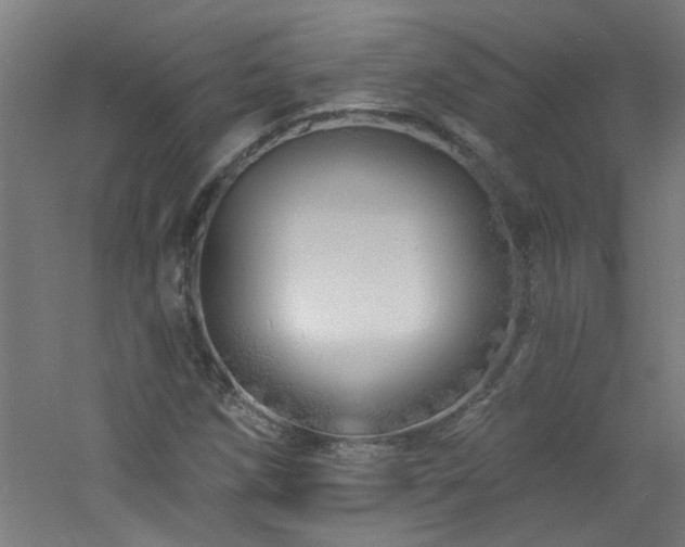 X0000060811258200511101444