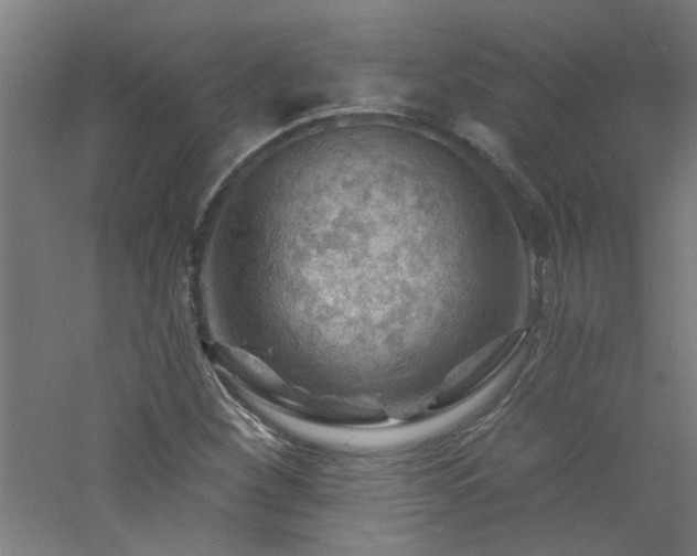 X0000060811260200511101444