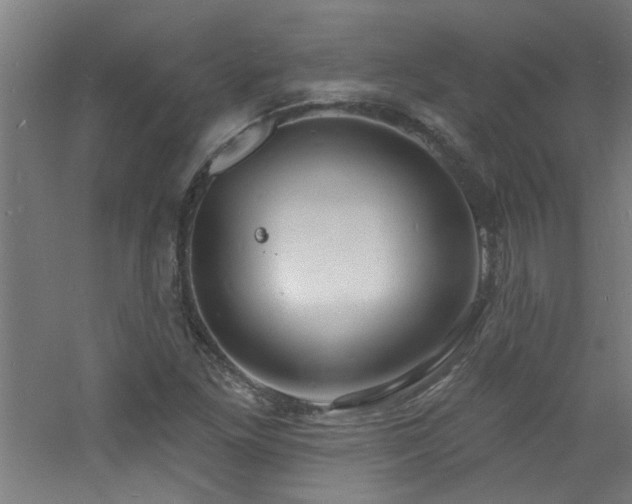 X0000060811261200511101444