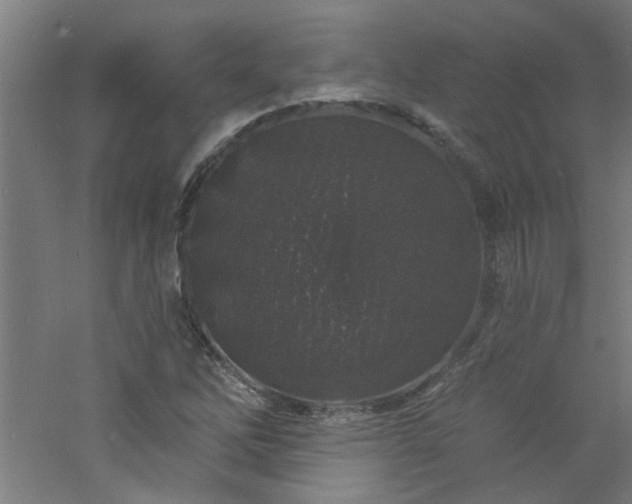 X0000060811262200511101444