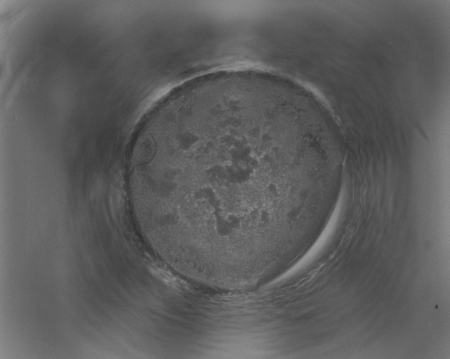 X0000060811263200511101443