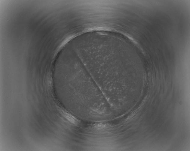 X0000060811266200511101443