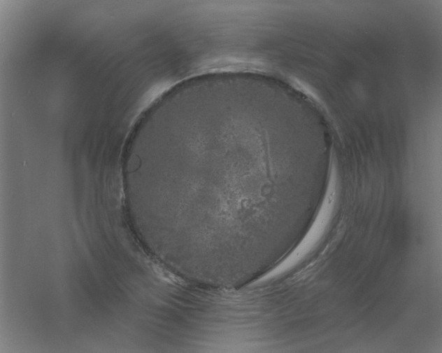 X0000060811267200511101443