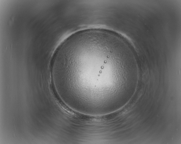 X0000060811271200511101443