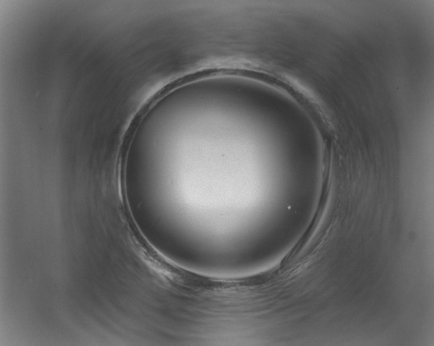 X0000060811272200511101443