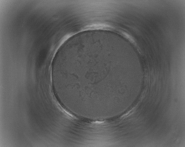 X0000060811275200511101443