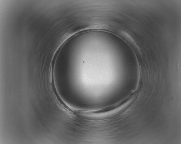 X0000060811276200511101443