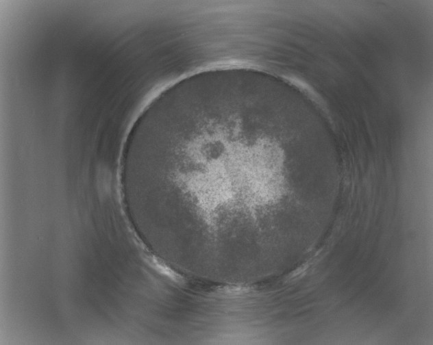 X0000060811278200511101443