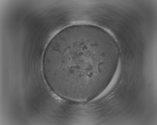 X0000060811279200511101443