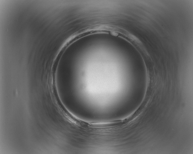 X0000060811280200511101443