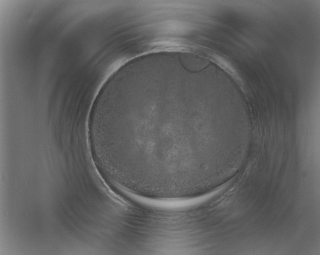 X0000060811283200511101443