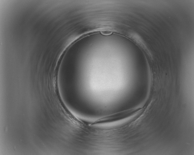 X0000060811284200511101443