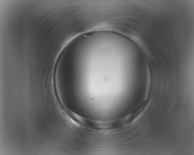 X0000060811288200511101443