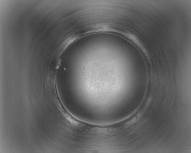 X0000060811289200511101443