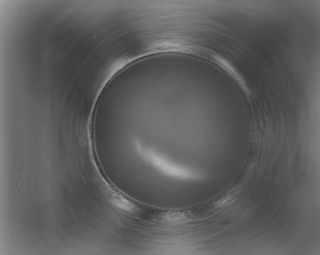 X0000060811291200511101443