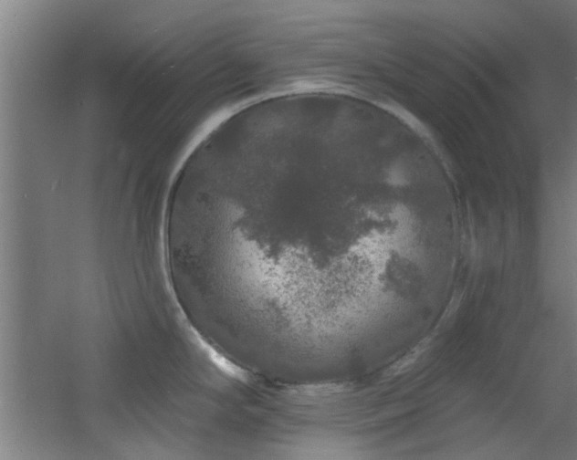 X0000060811294200511101443