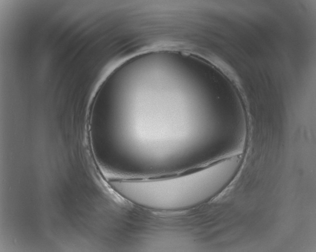 X0000060811296200511101443