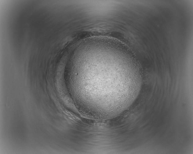 X0000060811297200511101442