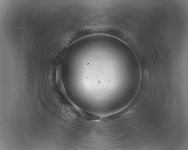 X0000060811300200511101442