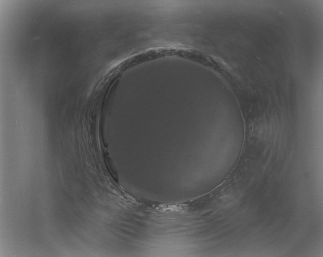 X0000060811303200511101442