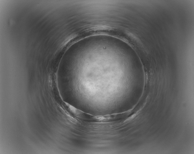 X0000060811305200511101442