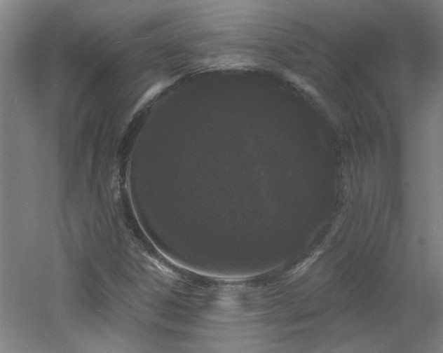 X0000060811306200511101442