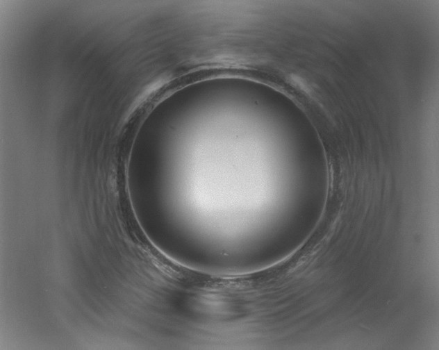 X0000060811307200511101442