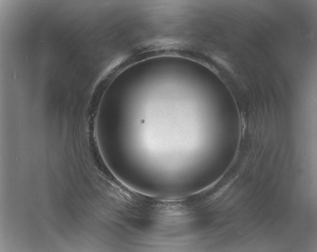 X0000060811309200511101442