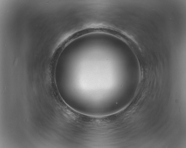 X0000060811311200511101442