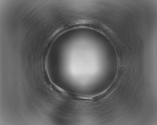 X0000060811313200511101442