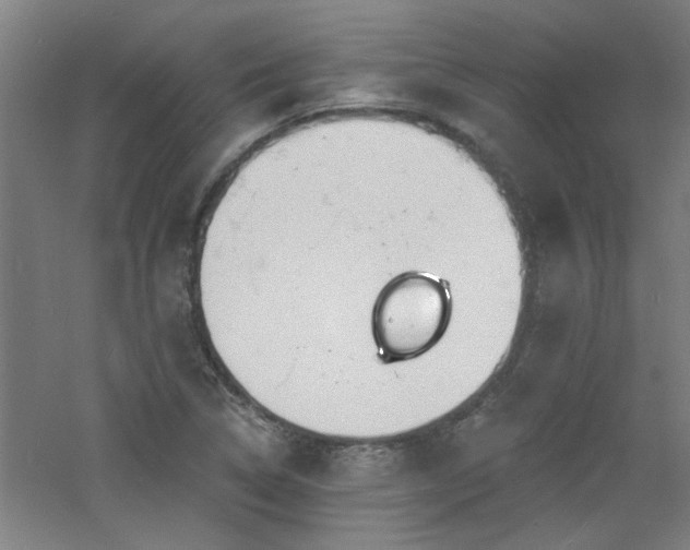 X0000060811314200511101442