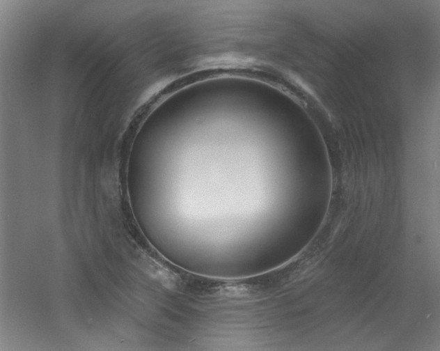 X0000060811315200511101442