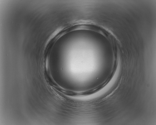 X0000060811317200511101442