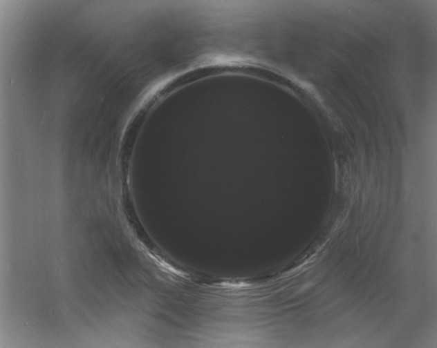 X0000060811319200511101442