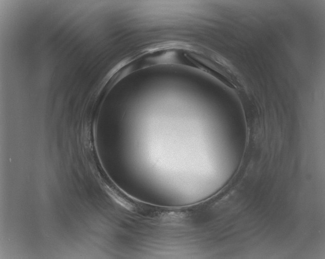 X0000060811321200511101443