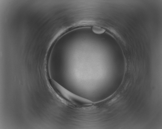 X0000060811325200511101443