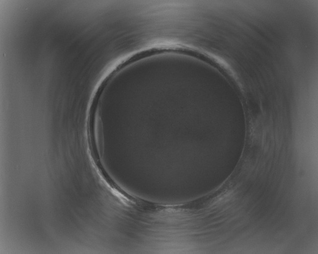 X0000060811327200511101443