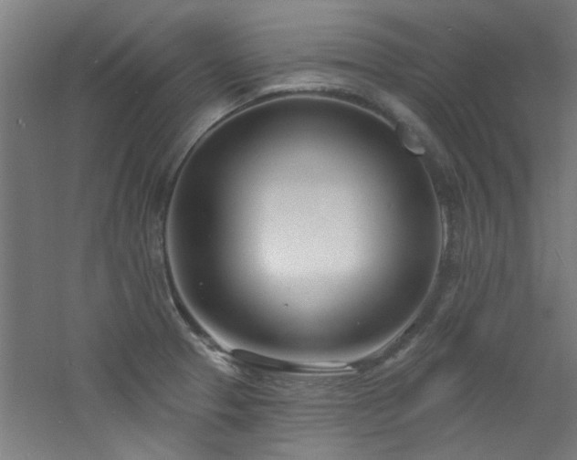 X0000060811329200511101443