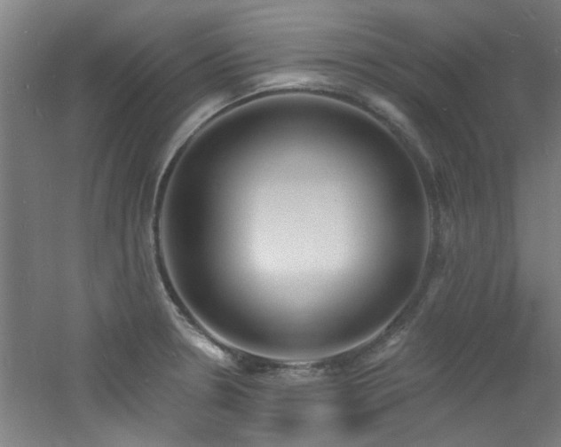 X0000060811330200511101443