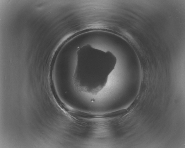 X0000060811331200511101443