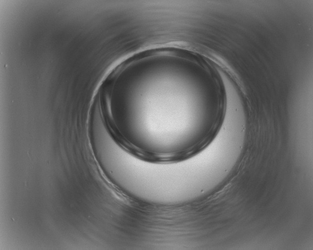 X0000060811332200511101443